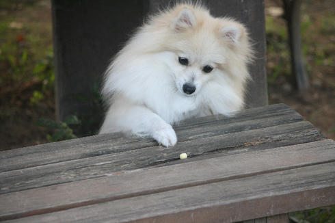 IMG_6679.JPG