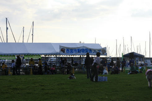 IMG_7634.JPG