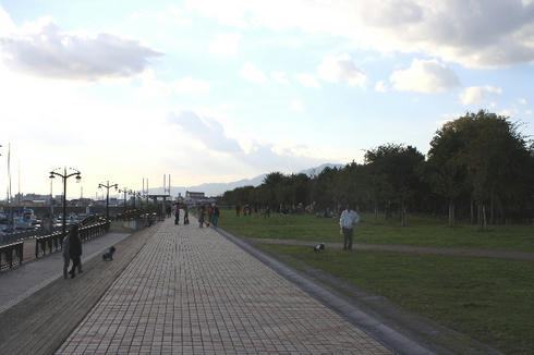 IMG_7643.JPG