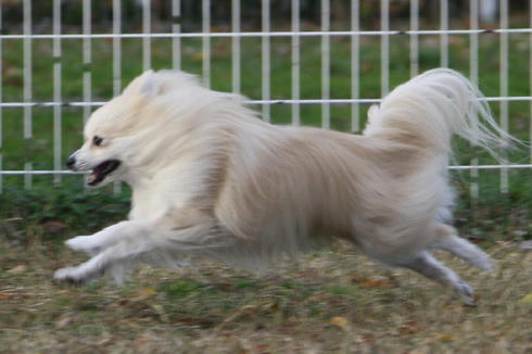 IMG_8627.JPG