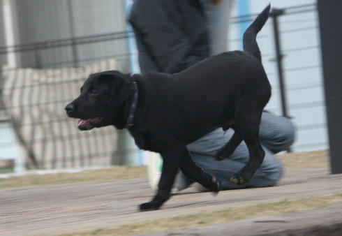 IMG_8993.JPG