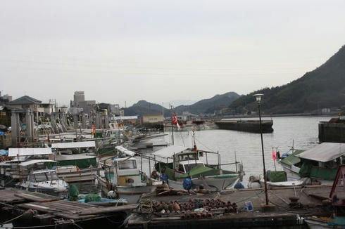 IMG_2861.JPG