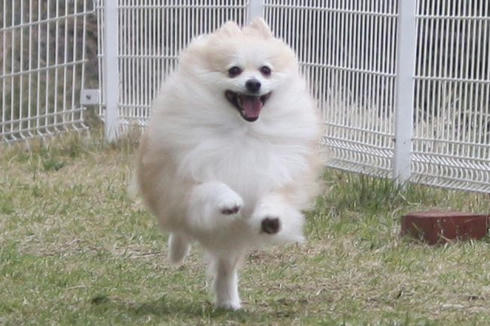 4acd2dcc.jpeg