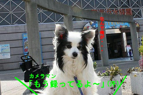 DPP_0004.jpg