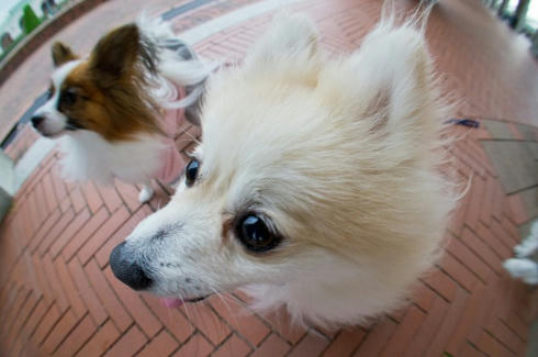 20111229215822007.jpg
