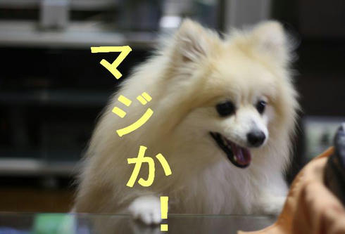 76fdf341.JPG