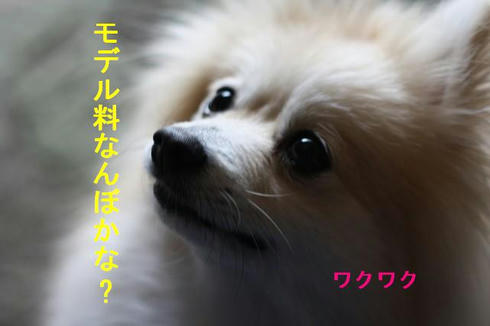 882883ce.JPG