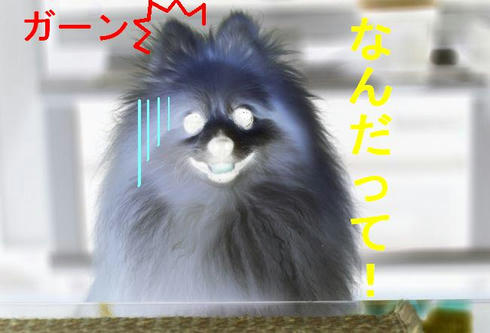 69d3e23c.JPG