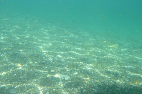 P1090590.JPG