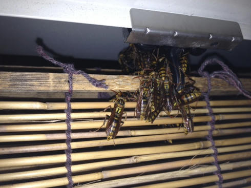 image9.jpeg