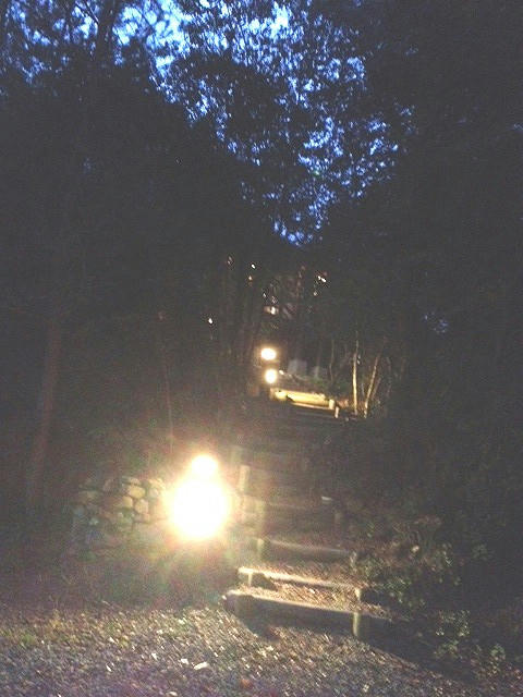 image10.jpeg