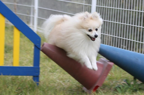 07187572.jpeg