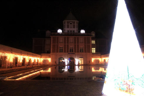 IMG_8233.JPG