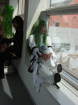 DSC00385.JPG