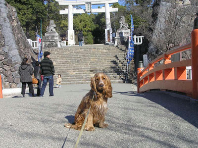 武田神社