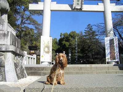 武田神社3