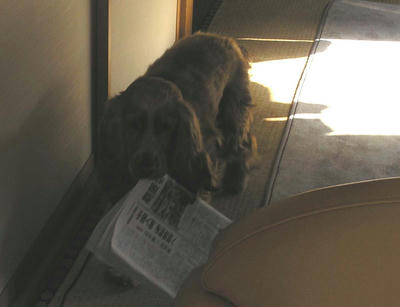 新聞とり1