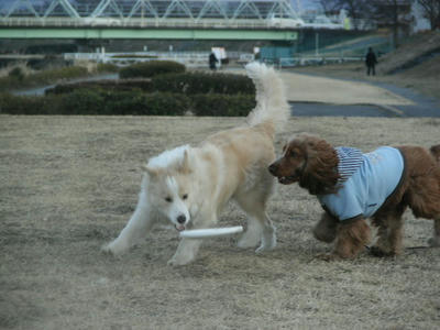 バイロン
