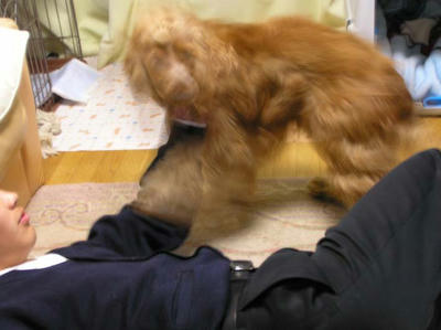 お化け1
