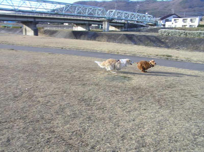 追いかけっこ
