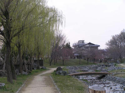 河川敷の春