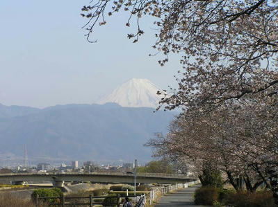 富士と桜