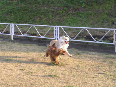 兄貴にはかなわず3