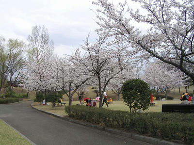 こんな公園