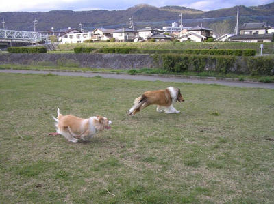 フルモカ1