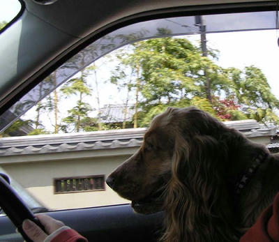 運転?