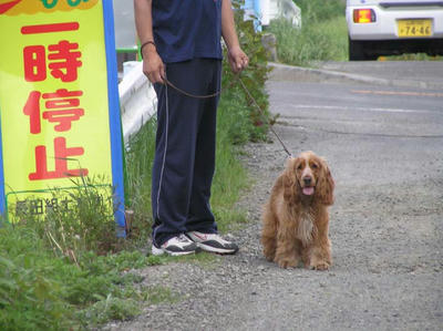 パパと一時停止