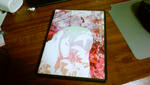 DSC00003.JPG