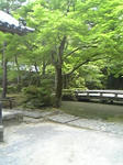 法然院