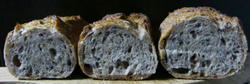 abbd53a2.JPG