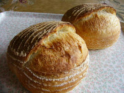P1100004.JPG