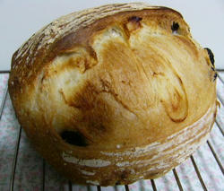 P1100023.JPG