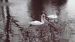 10-03-28_006.jpg