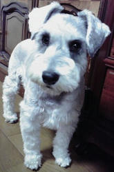 P1000007.JPG