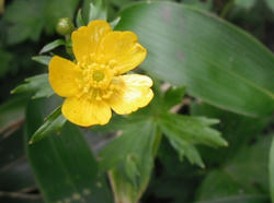 DSCF0214.JPG