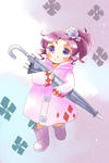 nijikasa.jpg