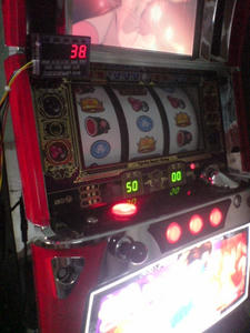 fdb368e5.JPG