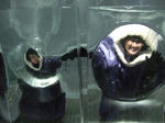 s-DSCF0275.jpg