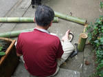 s-DSCF0325.jpg