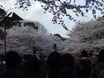 s-DSCF0420.jpg