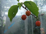39d05641.jpg
