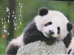 s-DSCF4625.jpg