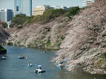 s-DSCF4689.jpg