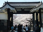 s-DSCF4717.jpg