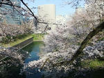 s-DSCF4745.jpg