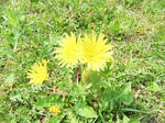 s-DSCF5044.jpg